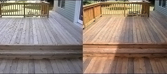 Fence Staining Near Me