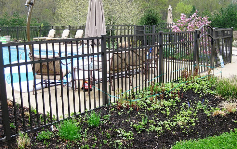 Wrought Iron Fences | A Better Fence Company | Metal Fences | Steel